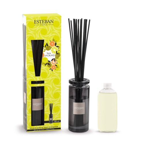 Esteban - Bouquet parfumé initial- terre d'agrumes