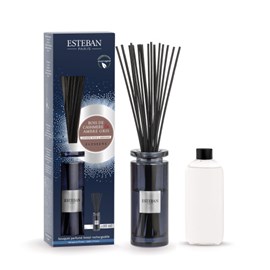 Bouquet parfumé initial 100ml