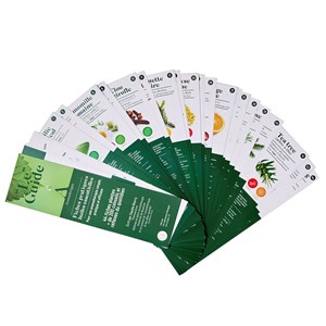 Guide huiles essentielles - 50 fiches