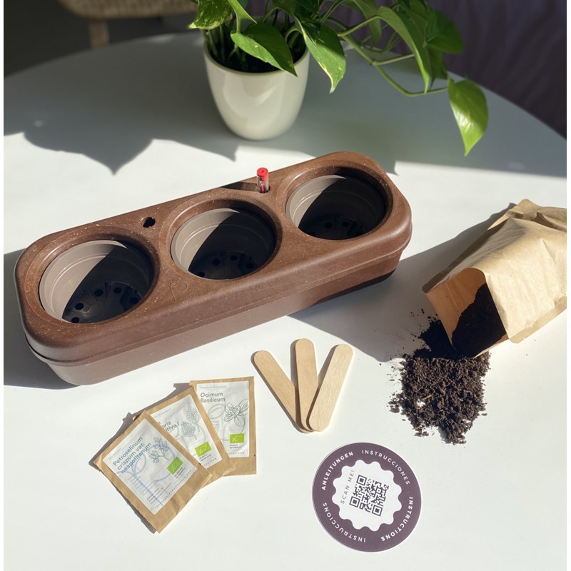 The Urban Permaculture - Kit potager urbain bio - salade colorée