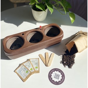Kit prêt à planter - 3 feuilles bio