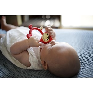 Hochet silicone chaperon