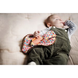 Doudou recto verso woodours poisson