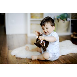 Doudou plat woodours