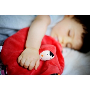 Doudou t'es fou louloup chaperon rouge