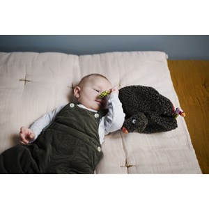 Doudou musical chaperon loup
