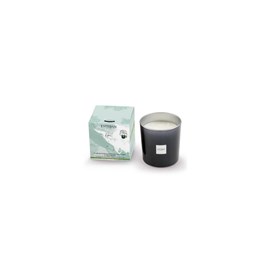 Bougieparfumée grand format pur lin 450g
