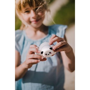 Appareil photo enfant roi panda