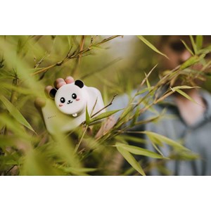 Appareil photo enfant roi panda