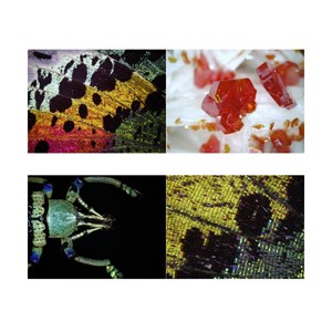 Microscope numérique usb dst-1028 - 5.1m