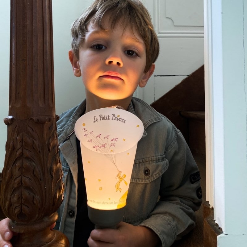 Maison Polochon - Lampe enfant le petit prince envol