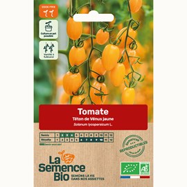 Tomate téton de vénus jaune - graines