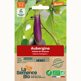 Aubergine violette de toulouse - graines