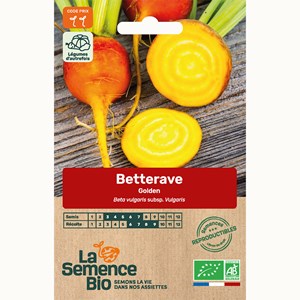 Betterave golden - graines bio