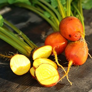 Betterave golden - graines bio