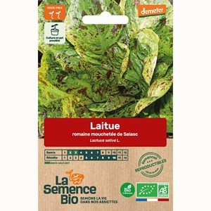 Laitue romaine mouchetée de salasc - gr