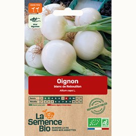 Oignon blanc de rebouillon - graines bio