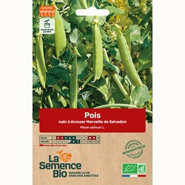 Pois nain à écosser merveille de kelve