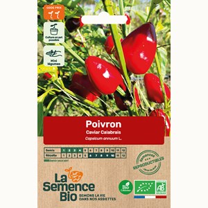 Poivron caviar calabrais - graines bio