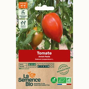 Tomate amish paste - graines bio
