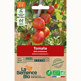 Tomate belle arlésienne - graines bio