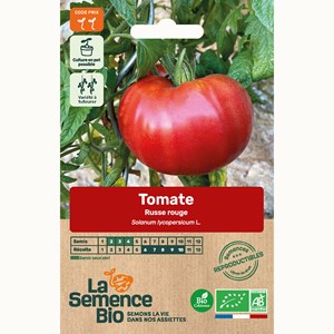 Tomate russe rouge bio