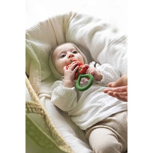 Hochet tomates cerises