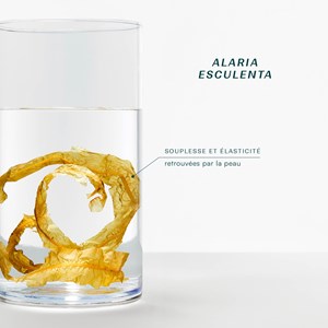 Crème corps scintillante océane bio