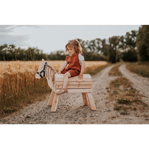 Cheval de bois compact