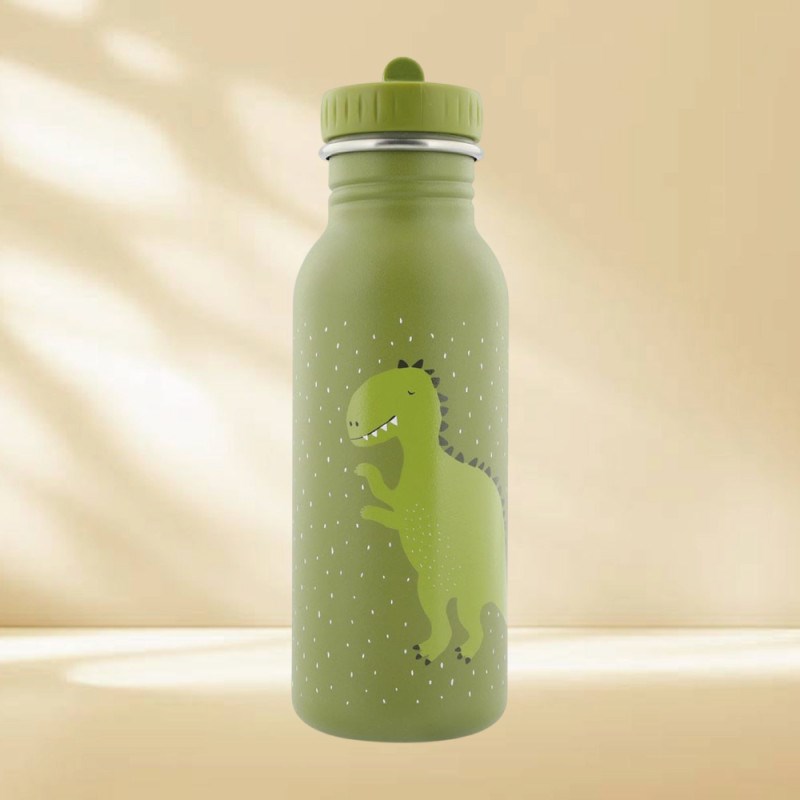 Gourde 500ml - mr. Dino