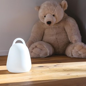 Lot 2 baladeuses sans fil 2x liberty c25