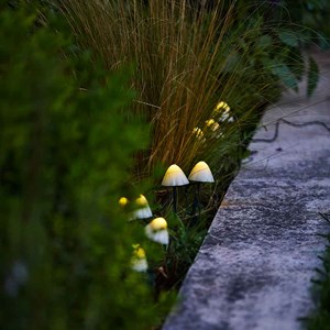 Guirlande mini champignons blanc champy