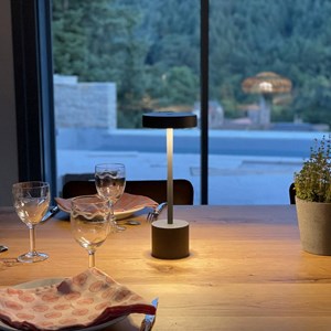 Lampe de table sans fil touch led gris roby