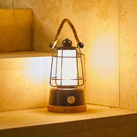 Lanterne sans fil led noir wildy