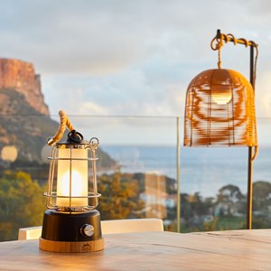 Lanterne sans fil led noir wildy