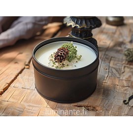 Bougie qui devient plante fl. Coton