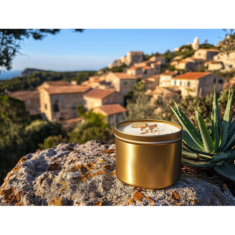 Bougie qui devient plante fl. Coton