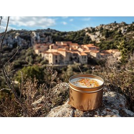 Bougie qui devient plante fleur oranger