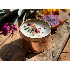 Bougie qui devient plante fleurcerisier