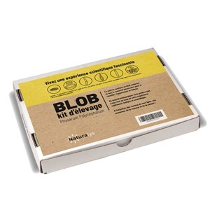 Kit élevage blob pour enfants