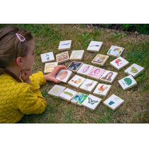 Découvrir le cycle de la vie