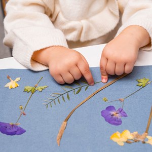 Diy papier photo solaire a5