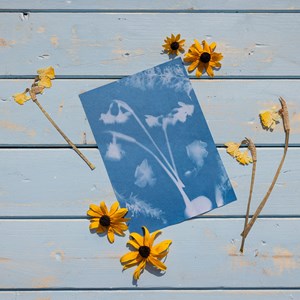 Diy papier photo solaire a5