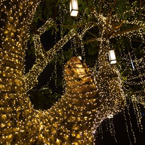 Guirlande solaire yogy solar warm 200