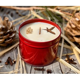 Bougie qui devient plante fl. Coton