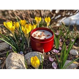 Bougie qui devient plante fleurcerisier