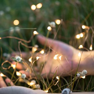 Guirlande lumineuse skinny solar 400