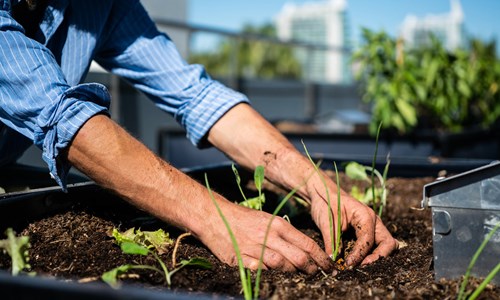 Kit bac potager intelligent format L