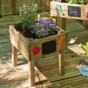 Carré potager pour enfants - marguerite