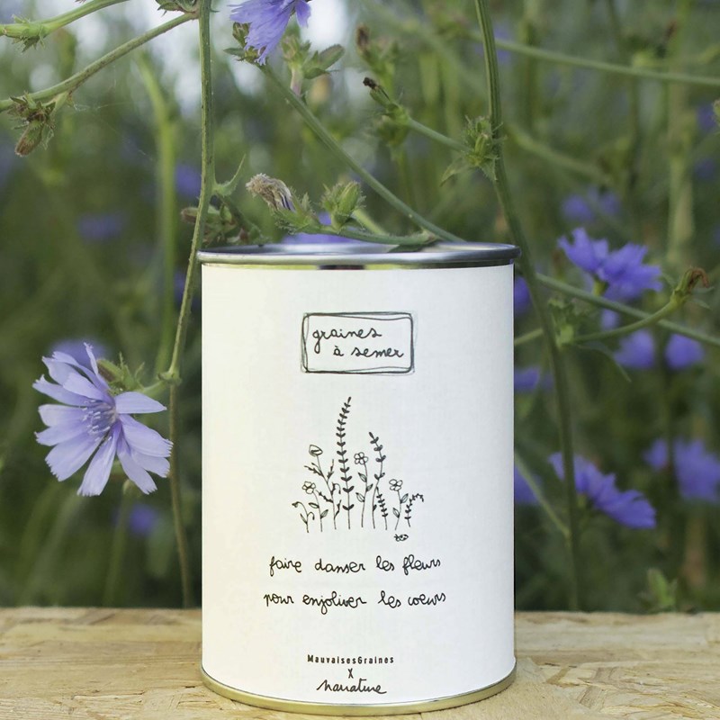 Mauvaises Graines - Kit à semer danser les fleurs